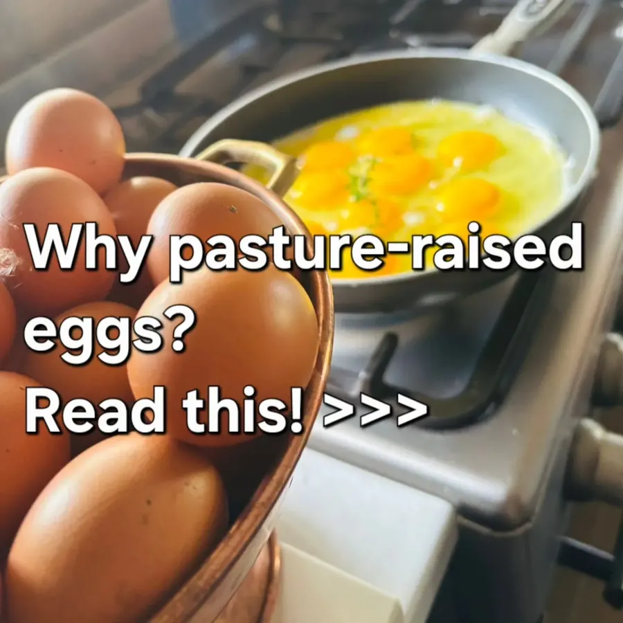 Basket of brown eggs beside frying eggs in a pan with the text Why pasture-raised eggs?